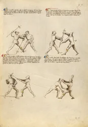 Fiore dei Liberi